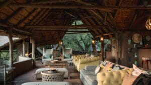 Mashatu-Lodge-Carousel5647