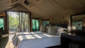 Mashatu-Tent-Carousel7369