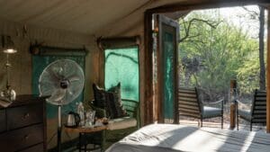 Mashatu-Tent-Carousel7402